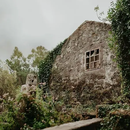 Villa Antas Family Esposende