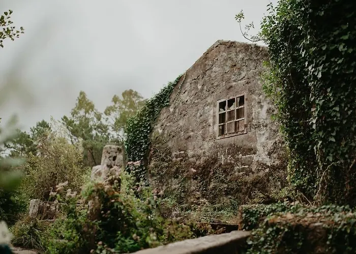 Villa Antas Family Esposende